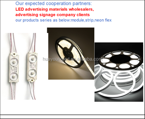 Outdoor Landscape Decoration DC12V 6*12mm Flexible Colored Silicone Anti-Yellowing IP65 Rated Double-Layer Coating Neon Light - Product Image 4