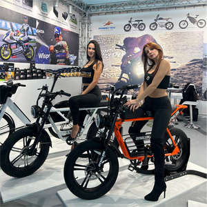 Bicicleta de Montaña con Llantas Anchas de Aluminio de 48V, Último Diseño, Precio Económico - Product Image 6