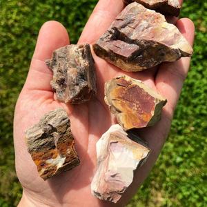 Vente en gros de bois pétrifié naturel brut, pierre fossile, cristal brut pour la décoration intérieure et la lithothérapie - Product Image 6