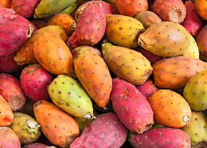 Polvo de Fruta de <span class=keywords><strong>Opuntia</strong></span> Ficus-indica Natural Silvestre de Grado Alimenticio de Buena Calidad / Polvo de Fruta de Nopal Soluble en Agua - Product Image 2