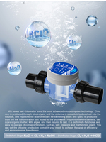 Pikes Intelligent MQ Series Petit chlorinateur de sel de piscine Installation facile Outil de désinfection de natation peu encombrant et accessoire