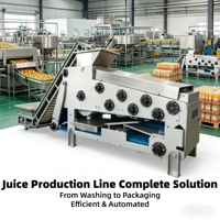 Kleine schaal appel- en perensap productielijn complete verwerkingsapparatuur