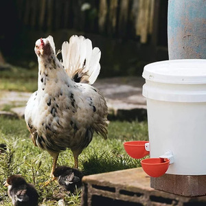 Kit d'abreuvoirs automatiques DD3022 pour volailles, poulets, canards, oies, lapins et oiseaux, avec tasses d'abreuvement adaptées - Product Image 3