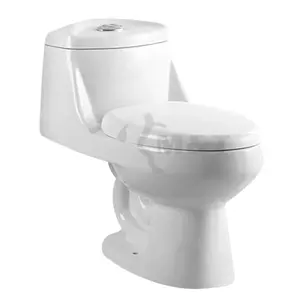 Best 1 piece toilets for sale with top flush