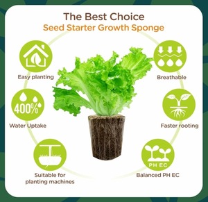 80 pcs nhanh chóng Rooter phích cắm cho hydroponics gốc bạo loạn thay thế khối cho hạt giống cắt vườn hydroponics Pods phát triển hệ thống - Product Image 3