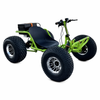 Go Kart Eléctrico Todoterreno, Mini Buggy con Manillar para Adultos, Llantas Grandes de 10 Pulgadas, Buggy de un Solo Asiento con Motor sin Escobillas y Batería de Litio