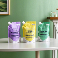 Impression personnalisée Pochette à bec verseur de 1kg pour savon liquide Lessive en poudre Détergent Prix usine Sacs d'emballage Shampoing Masques