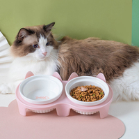 Nouveau Style vente en gros incliné chien chat fontaine d'eau personnalisé en céramique chien bol surélevé chat bols