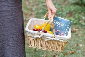 <span class=keywords><strong>Panier</strong></span> pique-nique asiatique 12 personnes Camping gris meilleur sac à dos l'osier bleu avec couvercle boîte tissée <span class=keywords><strong>panier</strong></span> de voyage refroidisseur - Product Image 3