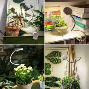 Luces de Cultivo para Plantas que Solucionan el Problema de la Escasez de Luz Interior, Lámpara de Cultivo para Plantas, Coloreación de Suculentas que Resulta en Mayor Concentración de Azúcar - Product Image 6