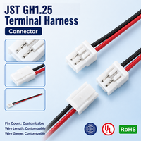 Câble de raccordement personnalisé GH1.25MM à 2 broches pour contrôleur de vol et électronique compacte avec connecteur adaptateur