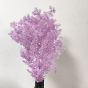 เฟิร์นแซนเต้ มิง เฟิร์น แอสพารัจ เฟิร์น ดอกไม้แห้งสำหรับตกแต่งบ้าน - ของขวัญวันแม่ วันวาเลนไทน์ วันรับปริญญา - Product Image 4