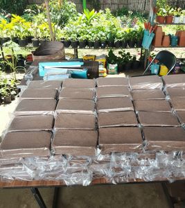 Bloc de fibre de coco 5 kg 30 cm x 30 cm x 12,15 cm à faible EC, en fibre de coco compressée pour les professionnels de la culture et les agriculteurs, utilisation hydroponique - Product Image 2