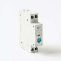 Disjoncteur intelligent TUYA WiFi sans fil avec minuterie, compteur d'énergie KWH, télécommande et protection contre les surtensions 40A