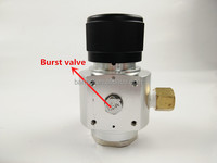 Mini Home Brew Beer régulateurs de CO2 personnalisés