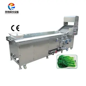 Industrial Steam Type Vegetable and Fruit Washing Blanching Machine for potato chips making