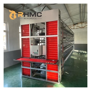 Tự động trứng thu thập máy cho gà/gia cầm trang trại tự động trứng thu thập gà lồng máy - Product Image 2