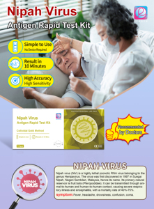 Veterinärmedizinisches Nipah-Virus-Antigen-Schnelltestkit zur Erkennung von Infektionskrankheiten für den Einsatz in Landwirtschaft und Tierlabor - Product Image 4
