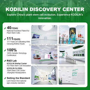Kodilin 食品级 10g 111Yr 野生人参母株稀有人参皂苷能量增强粉状人参副根 - Product Image 3
