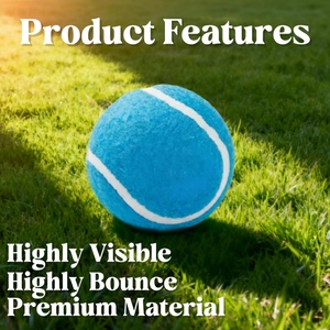 Accesorios de Pádel OEM con Logotipo Personalizado, Juego de Raquetas de Tenis, Venta al por Mayor, Material de Goma para Entrenamiento Deportivo, Pelotas de Pádel/Tenis - Product Image 6