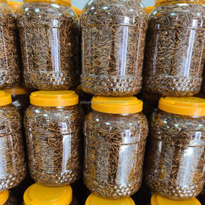 Protein Tenebrio tepung Molitor Weevil Tenebrio Molitor kuning megar makanan ringan kering makanan ringan hewan peliharaan untuk pakan hewan - Product Image 1