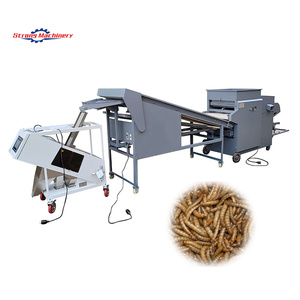 Máquina clasificadora de gusanos de harina, máquina separadora automática de Tenebrio Molier sin polvo, máquina para gusanos de harina - Product Image 5