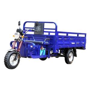 Triciclo eléctrico de carga pesada, motocicleta agrícola de <span class=keywords><strong>3</strong></span> <span class=keywords><strong>ruedas</strong></span> con motor de 1000W, rickshaw de 48V para pasajeros y carga, certificado EEC - Product Image 1