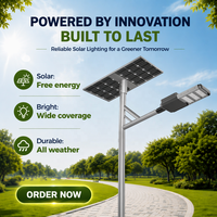 Lampadaire solaire LED monocristallin 50W pour autoroute, lampes solaires séparées, grande batterie LiFePO4 2000 cycles, garantie 3 ans, IP66 IK10