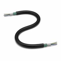 Kabel Serat Optik Single Mode G652D PBT Berlapis Baja dengan Konduktor Padat Gyts 4-288Core untuk Telekomunikasi Luar Ruangan Panjang 2km
