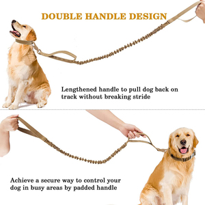 Laisse de traction pour chien anti-explosion, élastique et rétractable, pour chien de taille moyenne à grande, laisse rétractable dorée pour chien, chaîne pour animaux de compagnie - Product Image 5