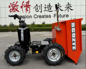 Kleine Elektrische Kiepwagen Voor Het Vervoeren Van Zand/Beton Op Bouwplaatsen, Kan Liften Ingaan, Flexibele Werking - Product Image 3