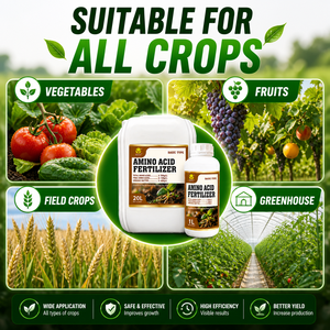 <span class=keywords><strong>Engrais</strong></span> <span class=keywords><strong>foliaire</strong></span> liquide à base d'acides aminés pour pommes <span class=keywords><strong>de</strong></span> <span class=keywords><strong>terre</strong></span>, prix compétitif, <span class=keywords><strong>engrais</strong></span> racinaire organique soluble dans l'eau à base d'acides aminés - Product Image 1