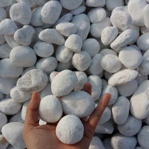 Pierres galets de couleur blanche naturelle, 5 pièces, pierres d'aménagement paysager pour décorer le jardin ou la maison - Product Image 6