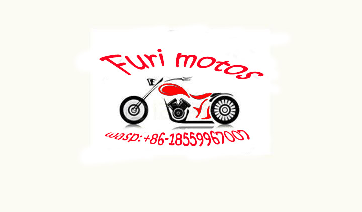 Furi Vhile Parts Industry Co., Ltd logo