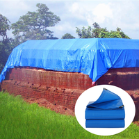 Bâche en PE robuste et imperméable, résistante aux UV, en tissu tissé avec œillets renforcés pour la protection extérieure des voitures