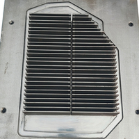 Molde de Inyección de Plástico PP para Filtro de Aire, Estructura Multicavidad para la Fabricación de Marcos de Filtro de Aire Automotriz Hyundai 28113-B1000