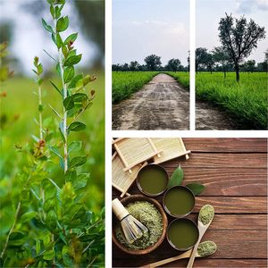 A base di erbe naturali nero Henna in polvere per capelli indiani - Product Image 5