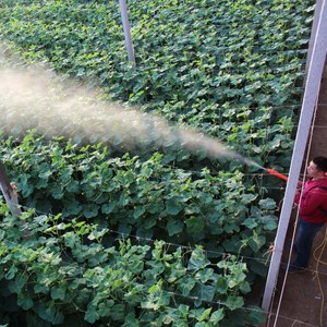 Custom Pulse Smoke Machine For Greenhouse Portable High Pressure <b>Sprayer</b> Farm Use High Productivity Pump Included - Product Image 1
