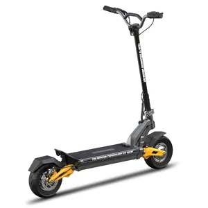 Foldable Tiger 10 Two wheels With LED light Dual drive self-balancing electric scooter
