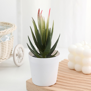 Mini plantas en maceta Duofu, plantas <span class=keywords><strong>suculentas</strong></span> artificiales, bonsái suculento <span class=keywords><strong>con</strong></span> maceta redonda de plástico - Product Image 6