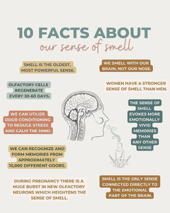 Số lượng lớn OEM hoa cúc hoa oải hương dầu bách xù tinh dầu cuộn trên giấc ngủ hạnh phúc bình tĩnh hương thơm tinh dầu cho thư giãn - Product Image 4