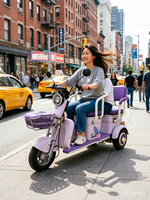 Tricycle électrique intelligent haut de gamme et écologique, facile à manier et plein de plaisir, un assistant indispensable pour votre famille