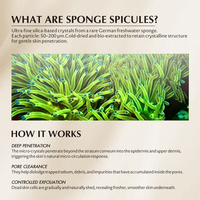 Poudre de traitement de l'acné à base de spicules de Spongilla, peeling bio-microneedling, atténue les taches brunes, soin anti-âge pour la peau
