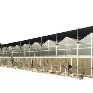 Fully automatic greenhouse Polycarbonate Greenhouse with hydroponic system