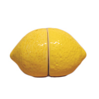 Adorable ensemble de salière et poivrière en céramique en forme de citron jaune, petit modèle