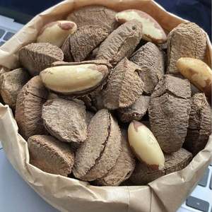 Noci del Brasile Premium: Fornitura all'Ingrosso di Noci del Brasile Naturali - Product Image 2