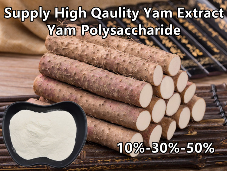 CYPSの自然な植物はヤマイモのエキスの多糖類を粉にする10%を得る 0