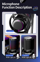 Microphone USB à condensateur pour jeux avec trépied, filtre anti-pop et éclairage RGB pour PC de bureau et streaming. Historique de navigation.