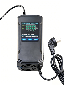 <span class=keywords><strong>Chargeur</strong></span> universel de batterie lithium-ion 12V/24V étanche pour vélo électrique, trottinette, voiturette de golf, chariot élévateur - Offre Spéciale - Product Image 1