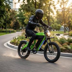 Bici Elettrica Senza Licenza 2000W 52V 25Ah E-Bike Fuoristrada 44MPH con Batteria Rimovibile e Telaio in <span class=keywords><strong>Mg</strong></span> - Product Image 3